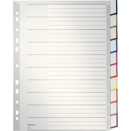 LEITZ Kunststoff-Register, blanko, A4 berbreite, 10-teilig