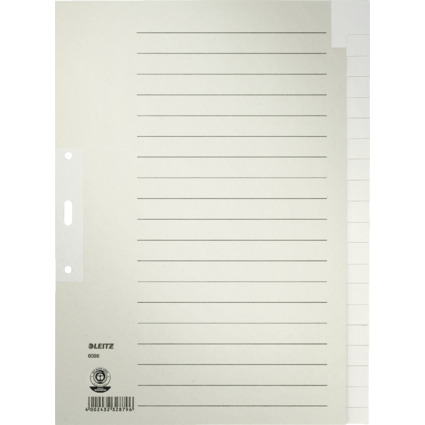 LEITZ Tauenpapier-Register, blanko, A4, 20-teilig, grau