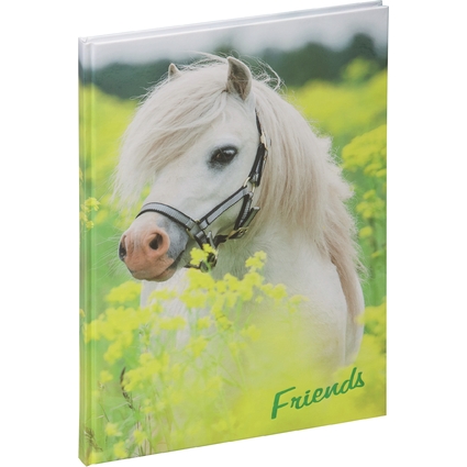 PAGNA Freundebuch "Kleines Pony", 120 g/qm, 60 Blatt