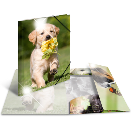 HERMA Eckspannermappe "Hunde", PP Glossy, DIN A3