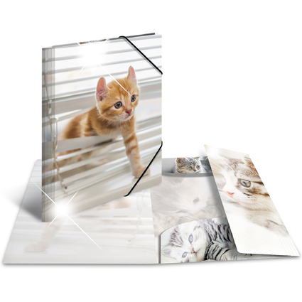 HERMA Eckspannermappe "Katzen", PP Glossy, DIN A3