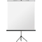 magnetoplan Stativ-Leinwand Standard, (B)2.000 x (H)2.000 mm