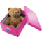 LEITZ Ablagebox Click & Store WOW, DIN A4, pink
