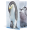 HERMA Eckspannermappe "Pinguine", PP Glossy, DIN A4