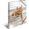 HERMA Eckspannermappe "Katzen", PP Glossy, DIN A3