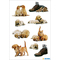 HERMA Sticker DECOR "Hundewelpen"