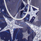 sigel Weihnachts-Flaschentte "Shining Stars"