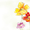 sigel Design-Papier, DIN A4, 90 g/qm, Motiv "Spring Flowers"