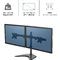 Fellowes Doppel-Monitorarm Seasa mit Standfu, schwarz