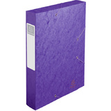 EXACOMPTA sammelbox Cartobox, din A4, 60 mm, violett