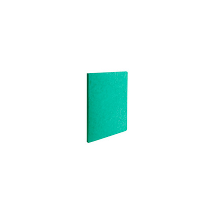 EXACOMPTA Aktendeckel LUSTRO, 240 x 320 mm, grn