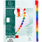 EXACOMPTA Karton-Register, DIN A4 berbreite, 12-teilig