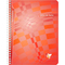 Clairefontaine Cahier de textes Mimesys, 170 x 220 mm, sys